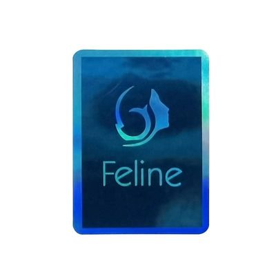 Matte Double Layer Labels Reflective Custom Holographic Labels